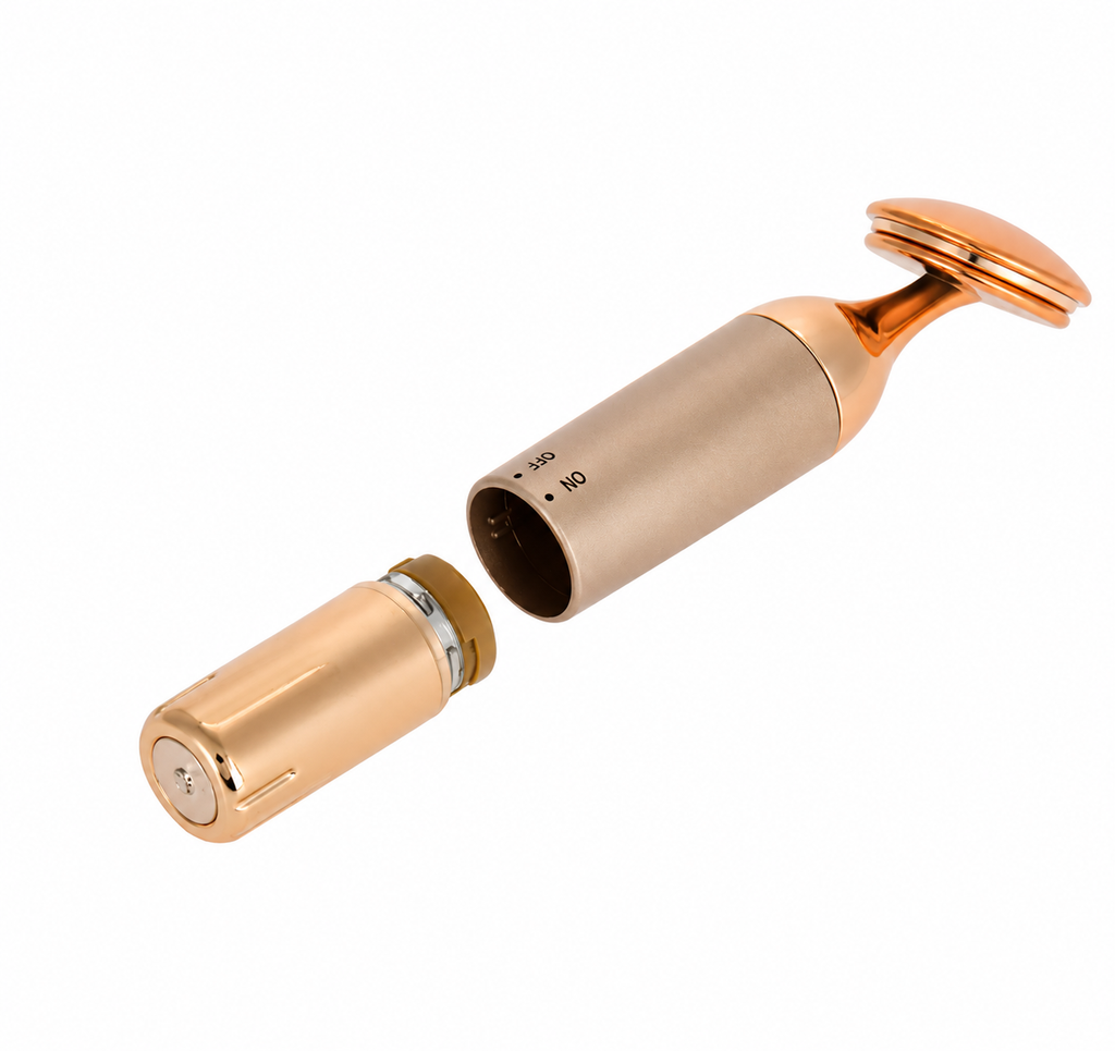Beauty Equipment Home Electric Facial Importer